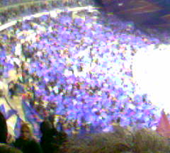 stade francais/biarritz